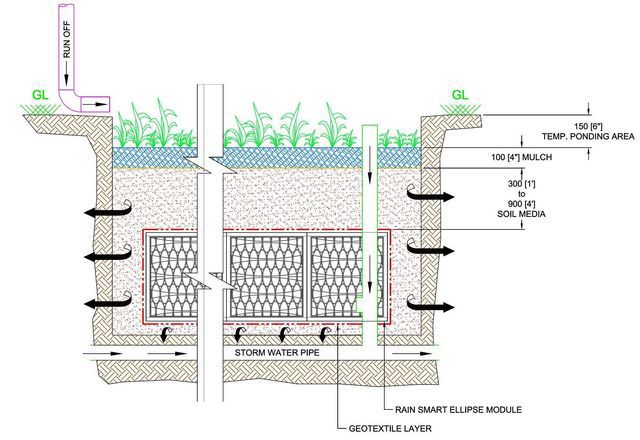 raingarden.jpg - large